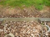 image of grave number 683966
